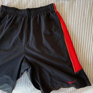 Nike Dri-Fit Shorts in Size Medium
